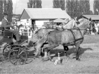 V. Bakonyi&nbsp;Betyárnapok