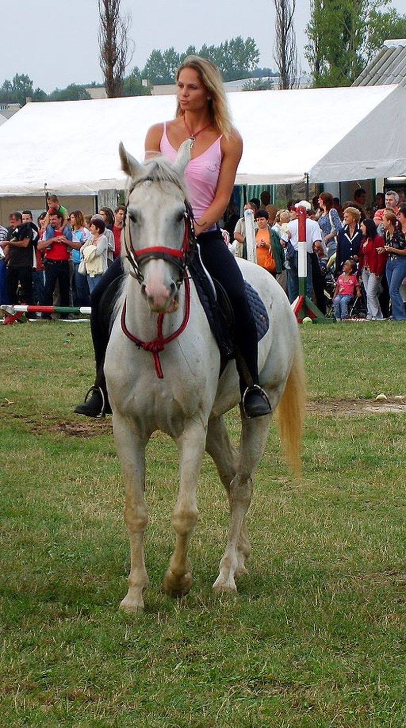 IX. Bakonyi Betyárnapok