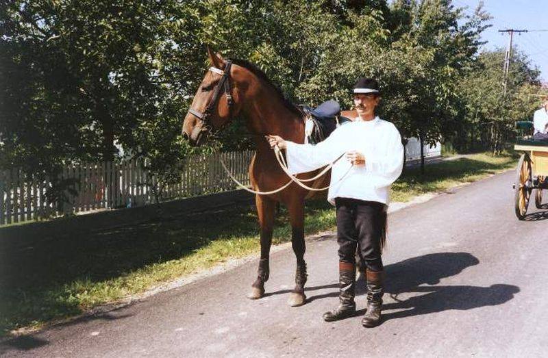 IX. Bakonyi Betyárnapok