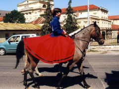 IX. Bakonyi Betyárnapok