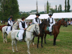 IX. Bakonyi Betyárnapok