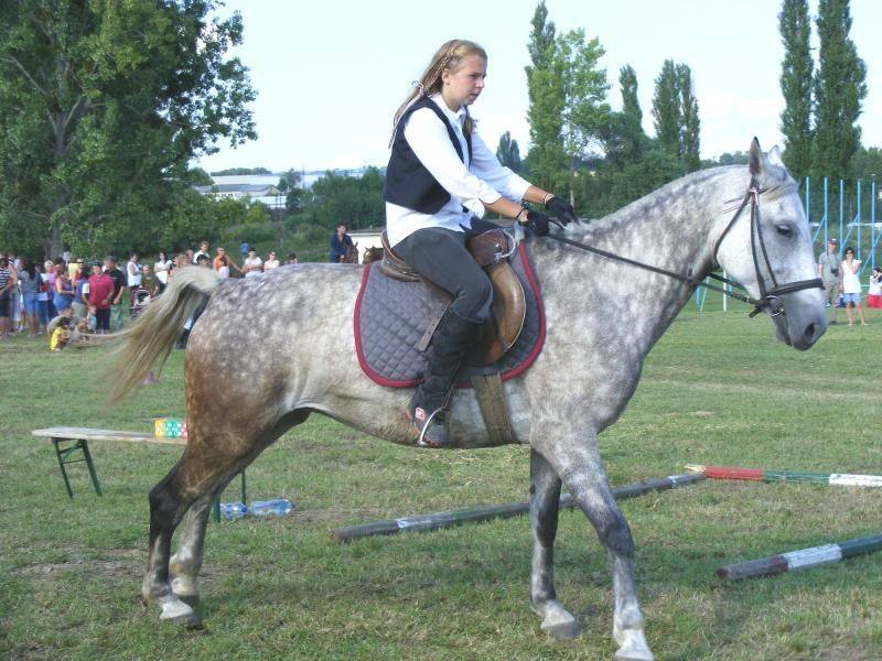 XI. Bakonyi Betyárnapok