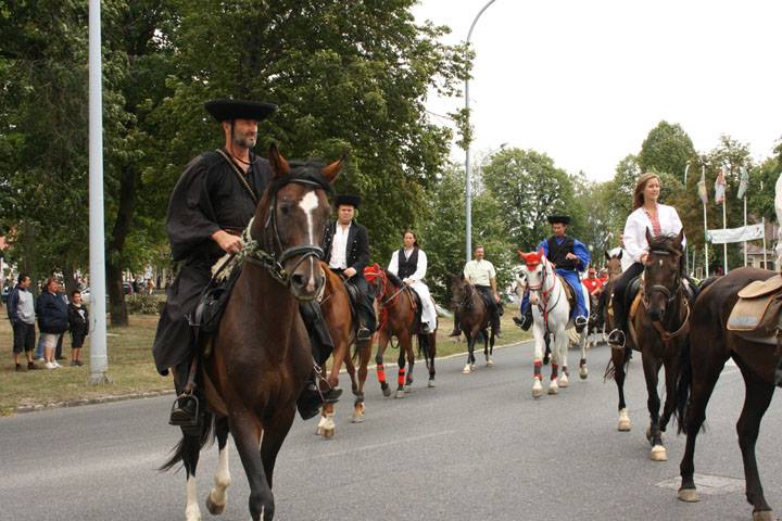 XIV. Bakonyi Betyárnapok