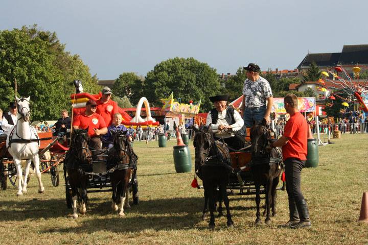 XIV. Bakonyi Betyárnapok