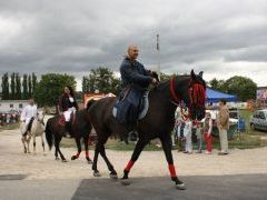 XIV. Bakonyi Betyárnapok