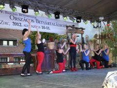 XIV. Bakonyi Betyárnapok