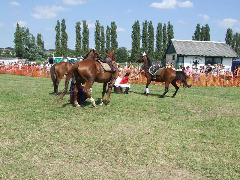 XVI. Bakonyi Betyárnapok