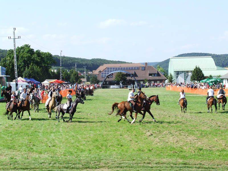 XVI. Bakonyi Betyárnapok