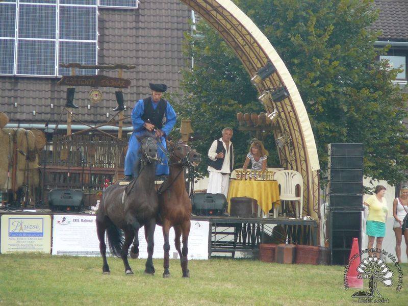 XVII. Bakonyi Betyárnapok