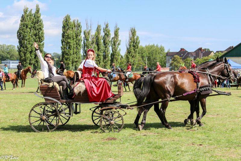 XVIII. Bakonyi Betyárnapok