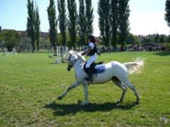 XVIII. Bakonyi Betyárnapok