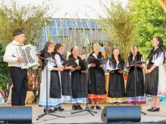 XVIII. Bakonyi Betyárnapok