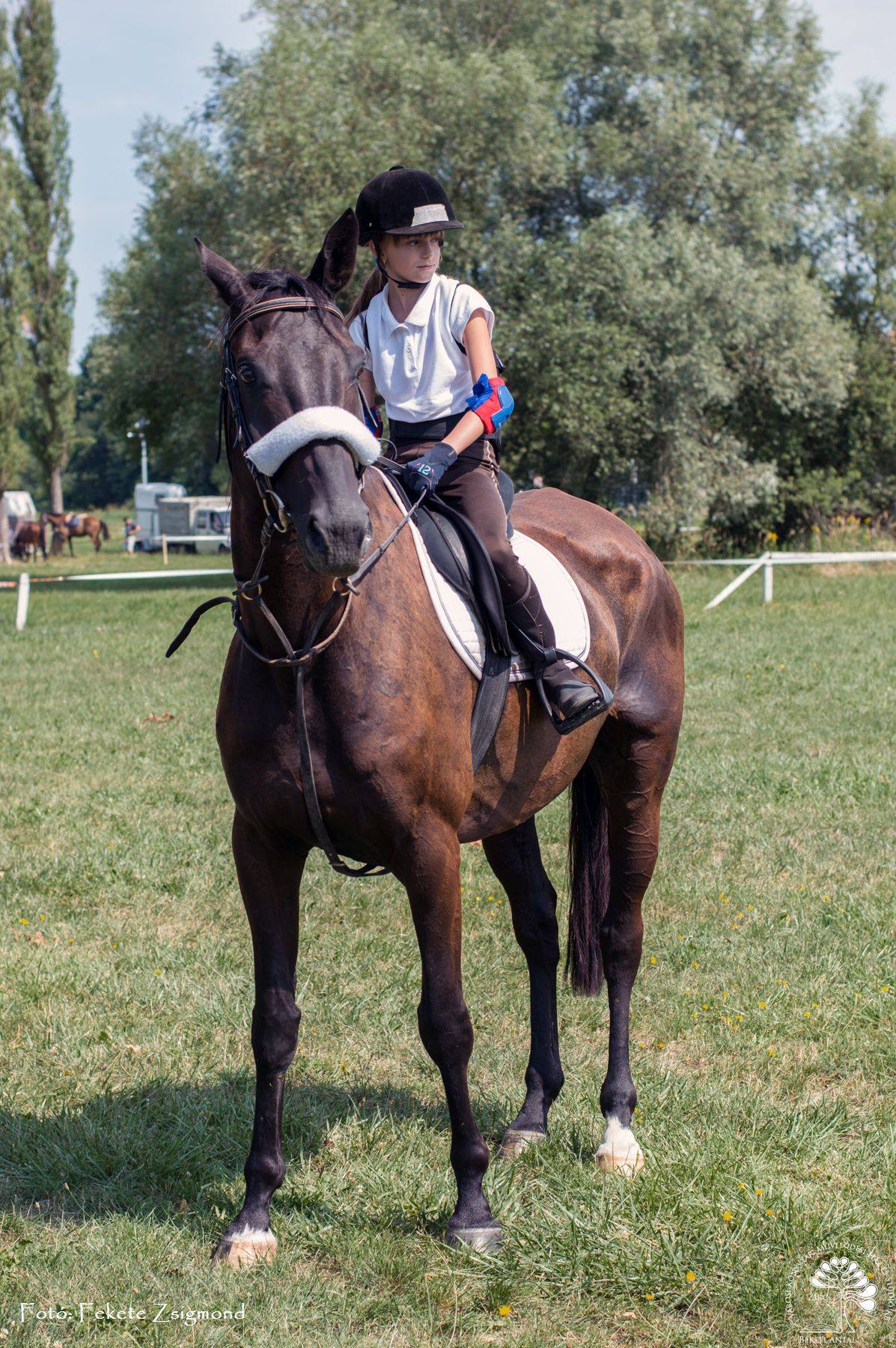 XIX. Bakonyi Betyárnapok